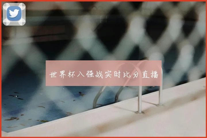 世界杯八强战实时比分直播