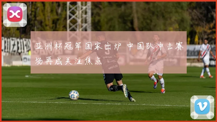 亚洲杯冠军国家出炉 中国队冲击赛场再成关注焦点