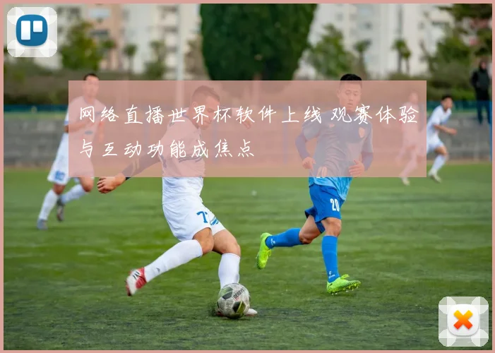 网络直播世界杯软件上线 观赛体验与互动功能成焦点